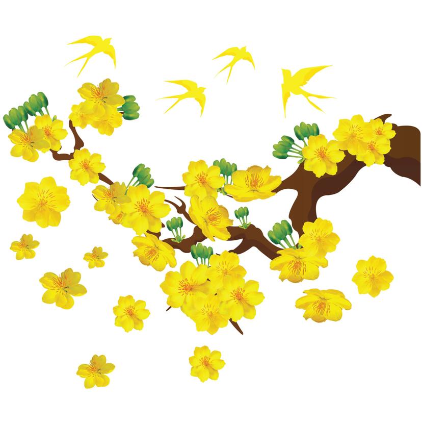 Ảnh sản phẩm