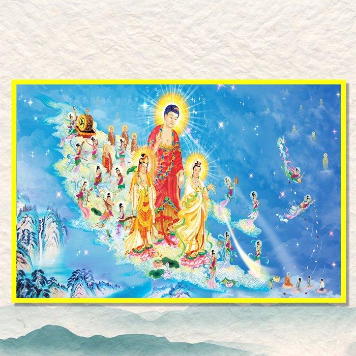 Ảnh sản phẩm