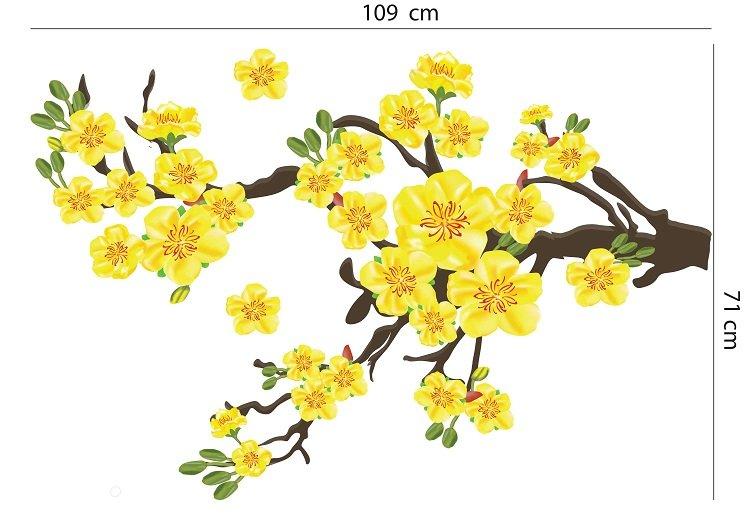 Ảnh sản phẩm