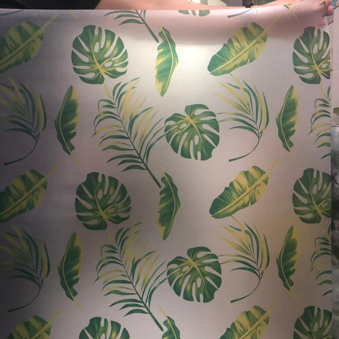 Giấy decal cuộn lá nhiệt đới to