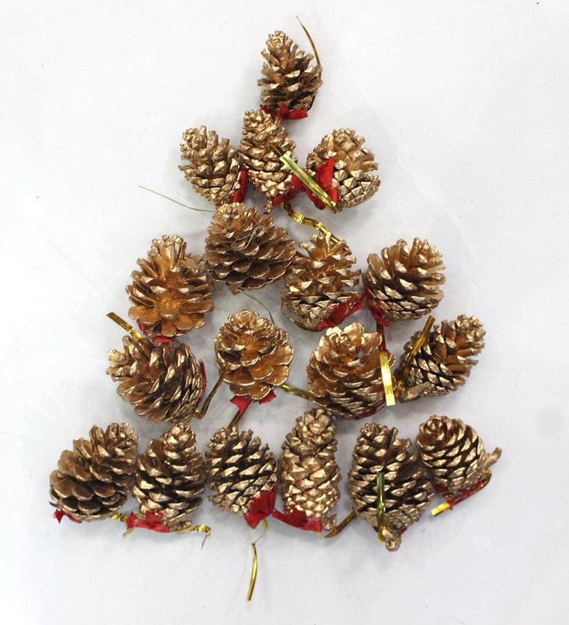Ảnh sản phẩm