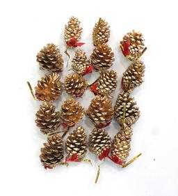Ảnh sản phẩm