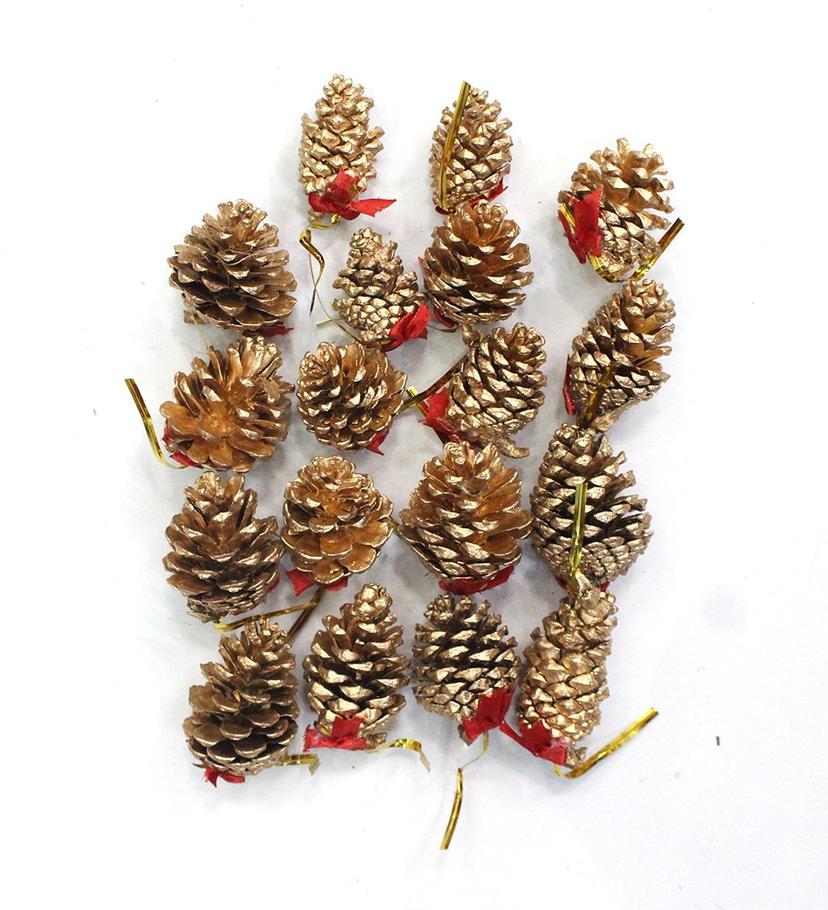 Ảnh sản phẩm