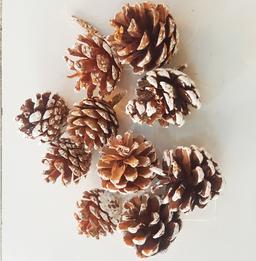 Ảnh sản phẩm