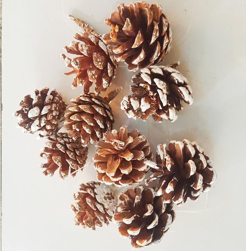 Ảnh sản phẩm