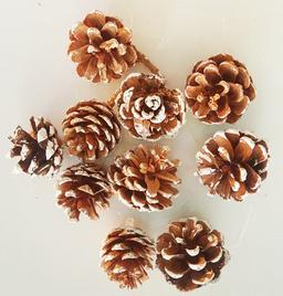 Ảnh sản phẩm
