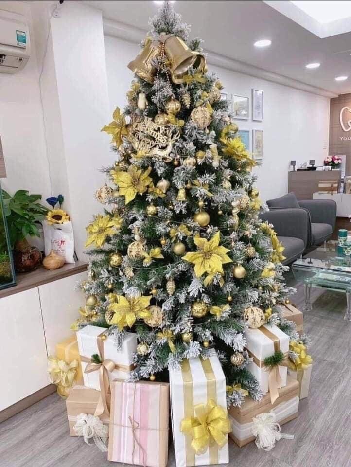 Ảnh sản phẩm