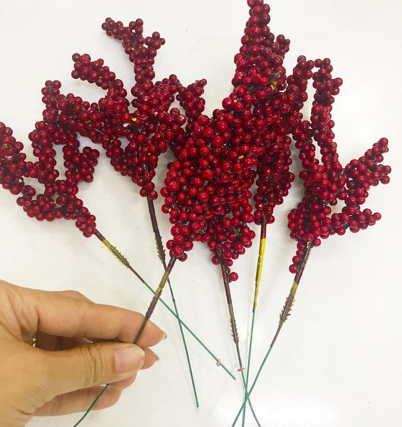 Ảnh sản phẩm