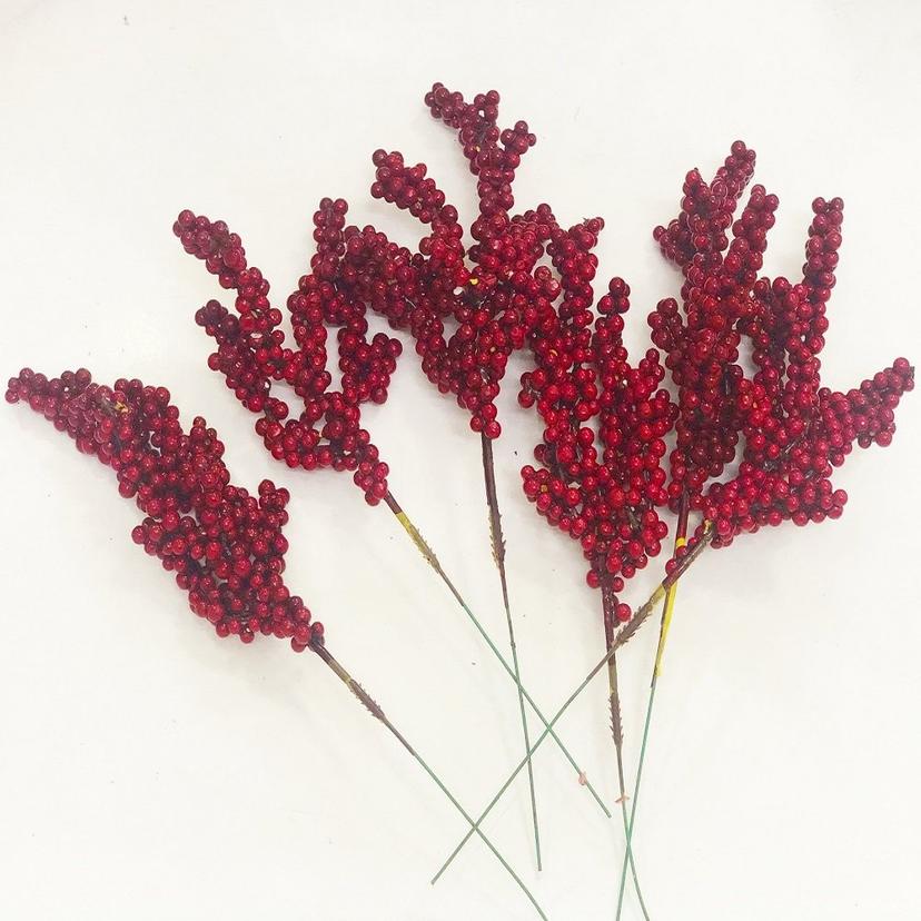 Ảnh sản phẩm