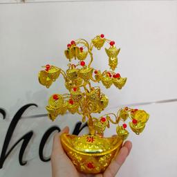 Ảnh sản phẩm