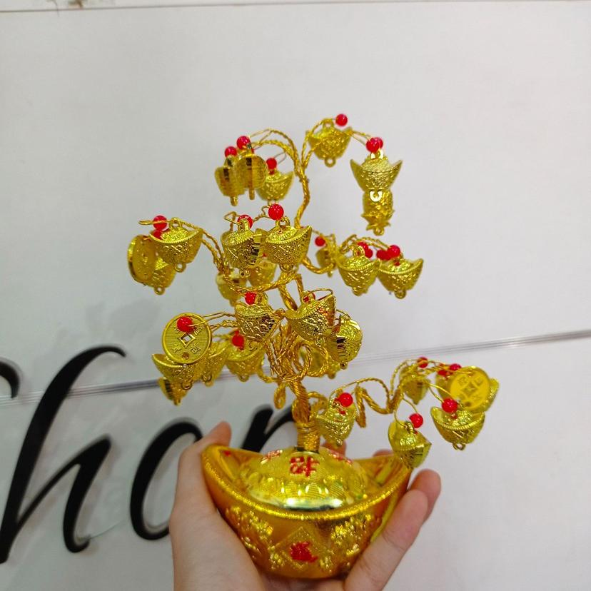 Ảnh sản phẩm
