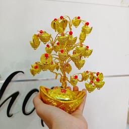 Ảnh sản phẩm