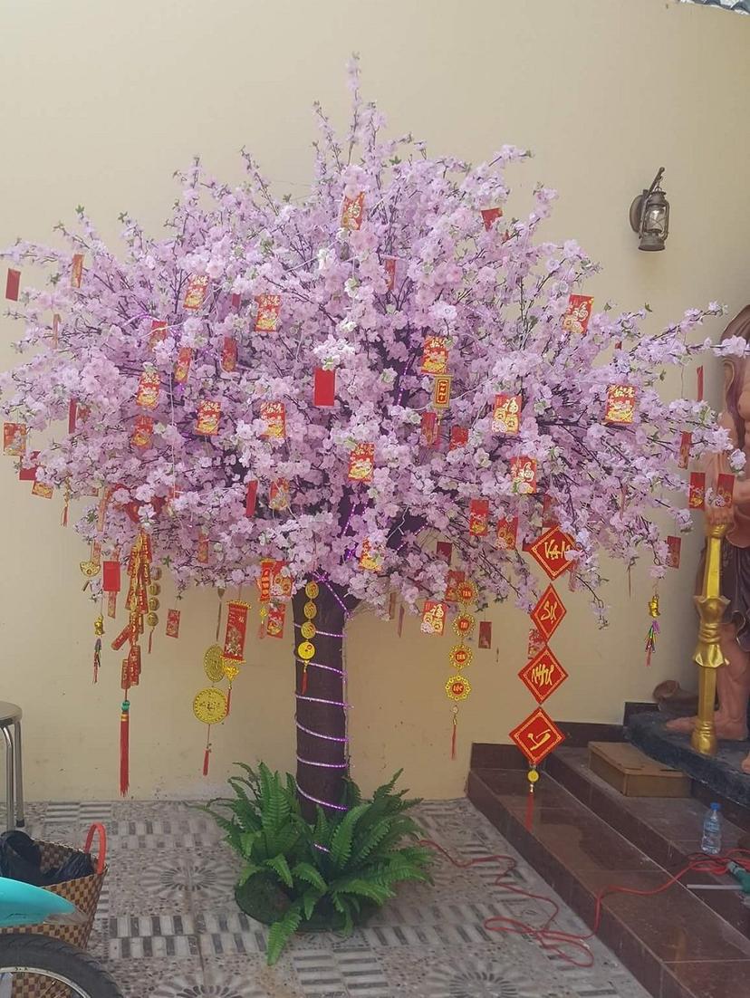 Ảnh sản phẩm