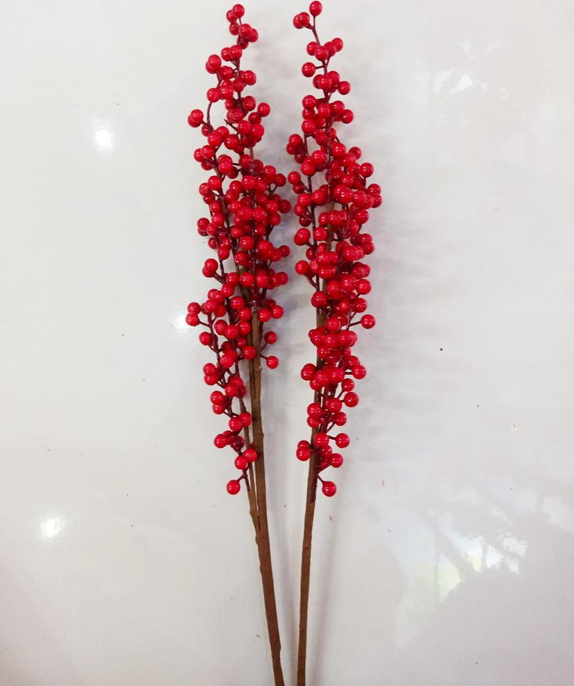 Ảnh sản phẩm