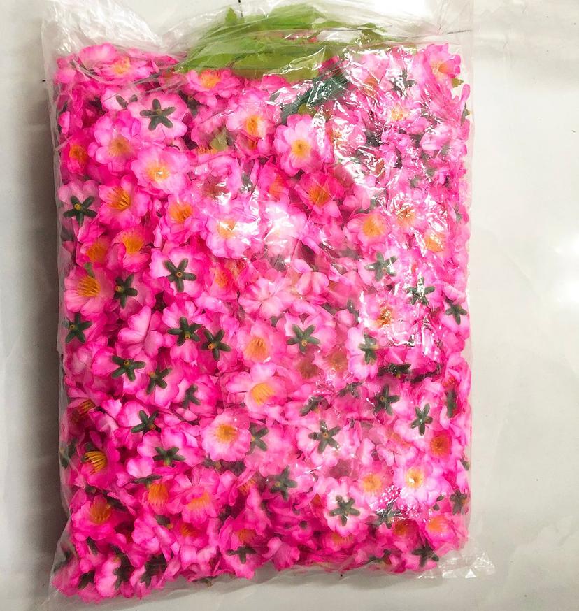 Ảnh sản phẩm