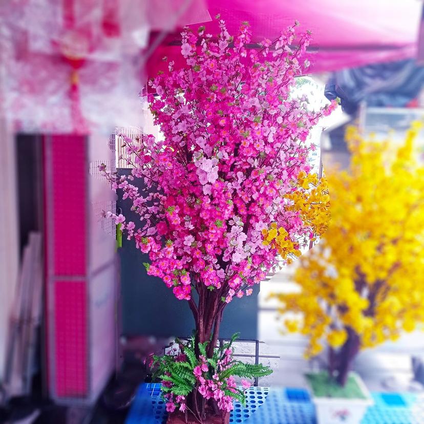 Ảnh sản phẩm