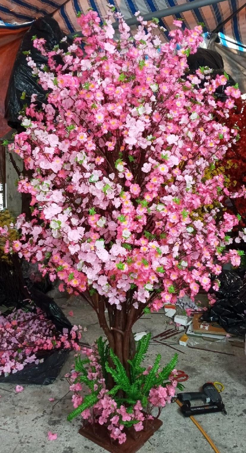 Ảnh sản phẩm