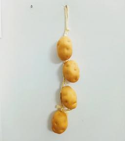 Ảnh sản phẩm