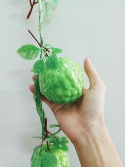 Ảnh sản phẩm