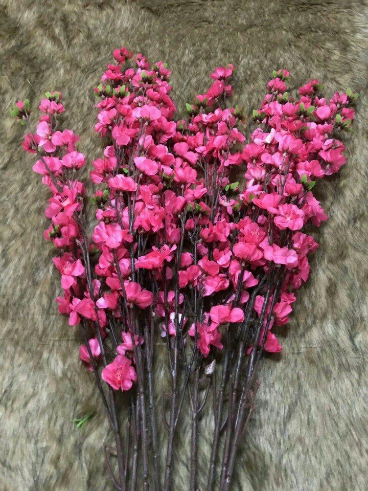 Ảnh sản phẩm