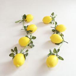 Ảnh sản phẩm