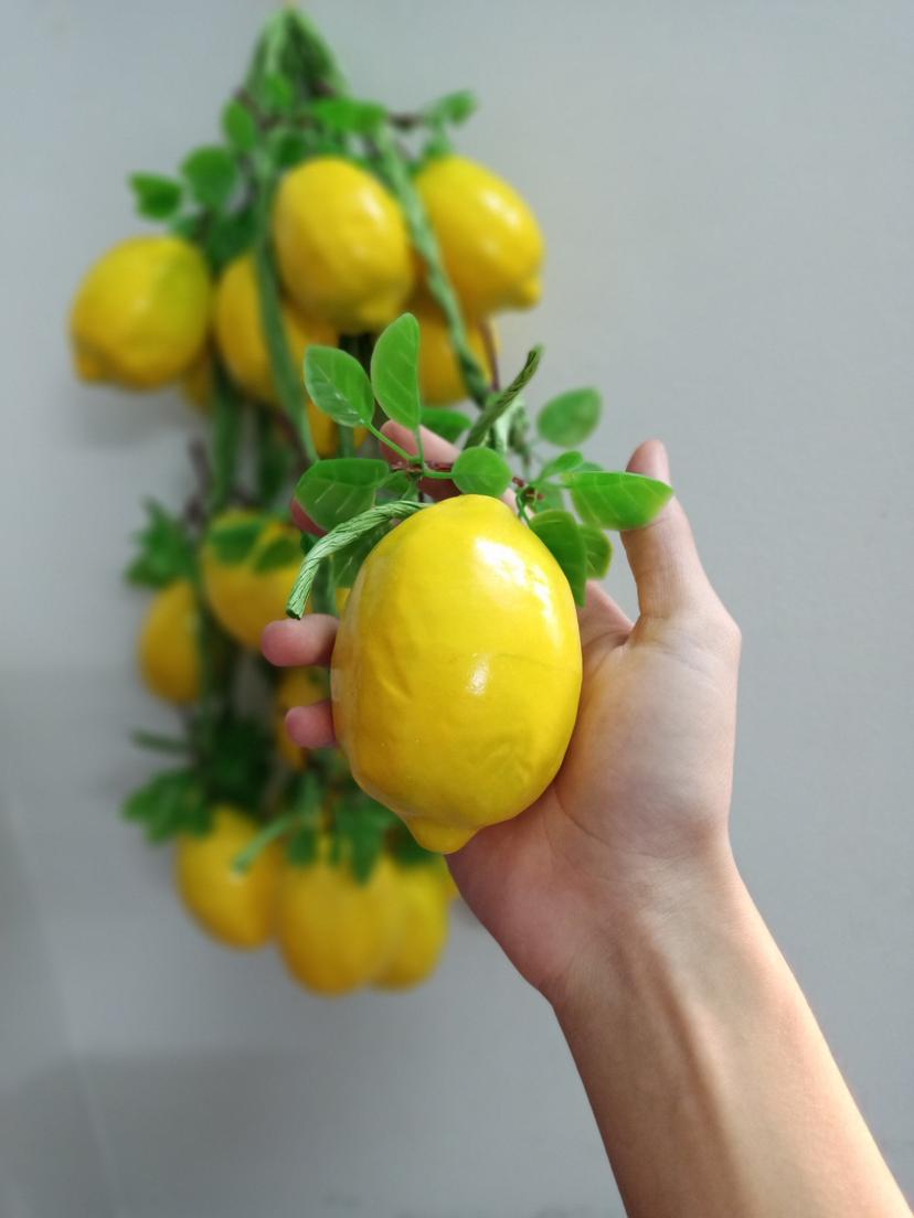 Ảnh sản phẩm