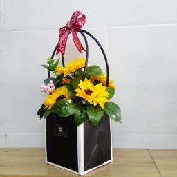 Ảnh sản phẩm