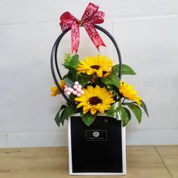 Ảnh sản phẩm