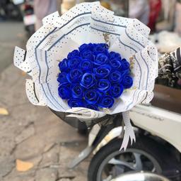 Ảnh sản phẩm