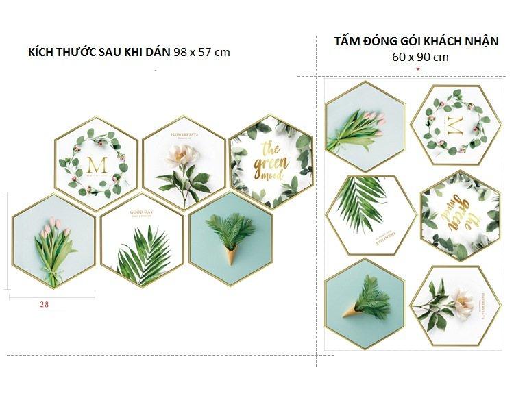 Ảnh sản phẩm