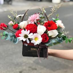 Ảnh sản phẩm