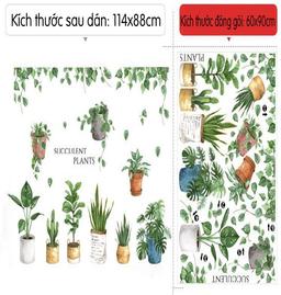 Ảnh sản phẩm
