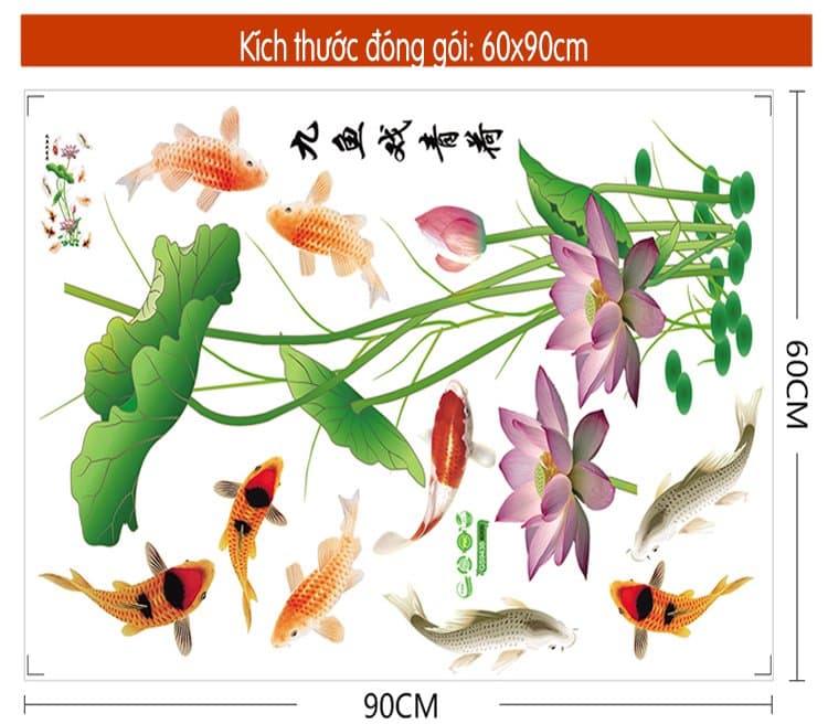 Ảnh sản phẩm