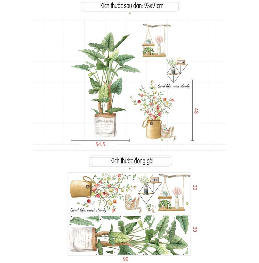 Ảnh sản phẩm