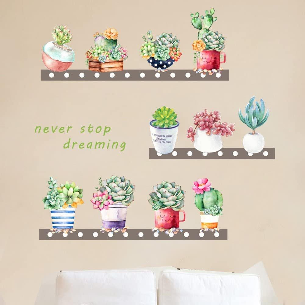 Decal dán tường kệ chậu cây never stop dreaming