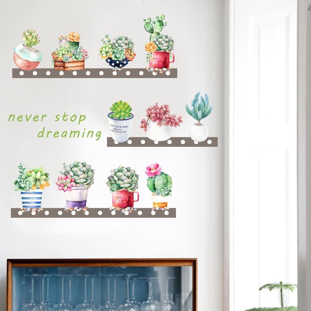Decal dán tường kệ chậu cây never stop dreaming