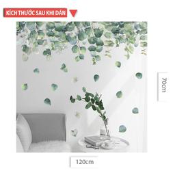 Ảnh sản phẩm