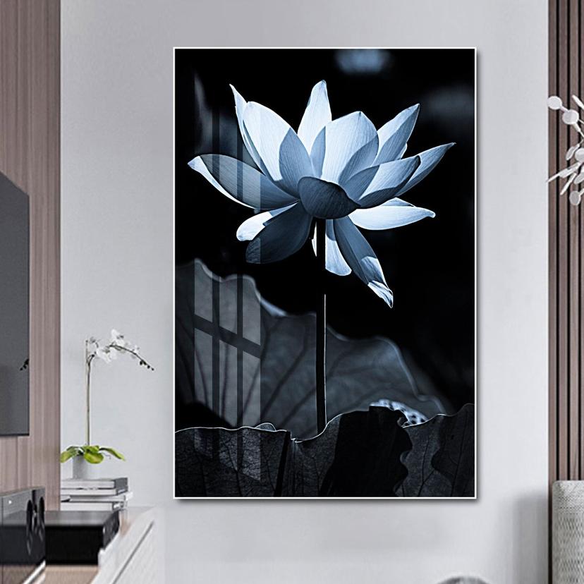 Ảnh sản phẩm