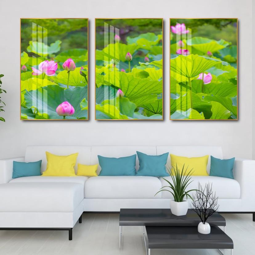 Ảnh sản phẩm