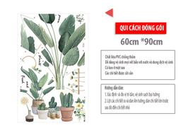 Ảnh sản phẩm