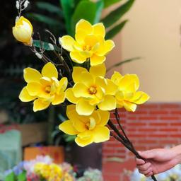 Ảnh sản phẩm