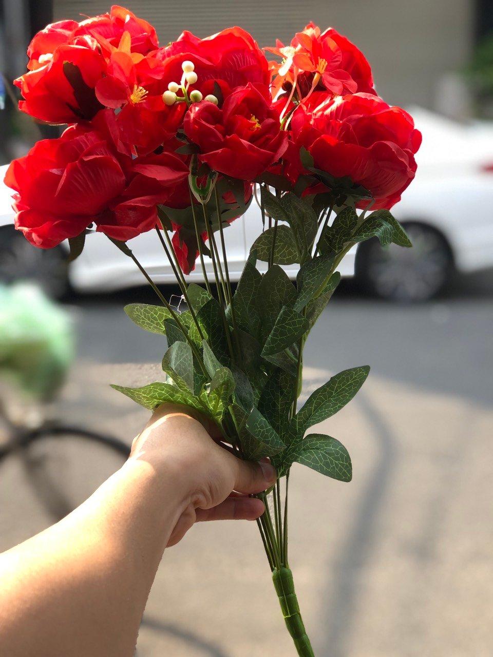 Cành hoa mẫu đơn đỏ