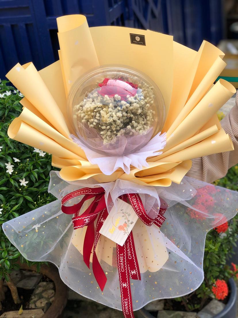 Ảnh sản phẩm