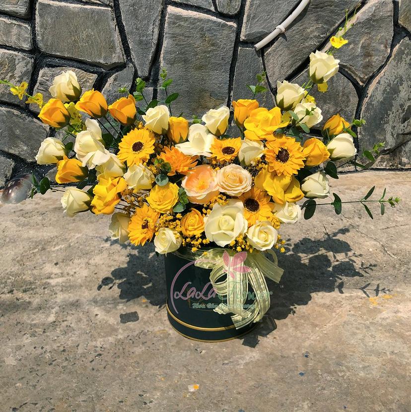 Ảnh sản phẩm