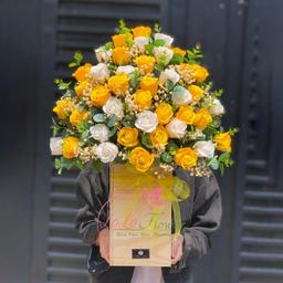 Ảnh sản phẩm