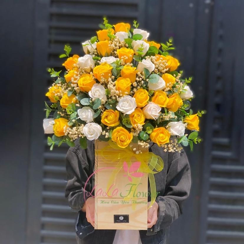 Ảnh sản phẩm
