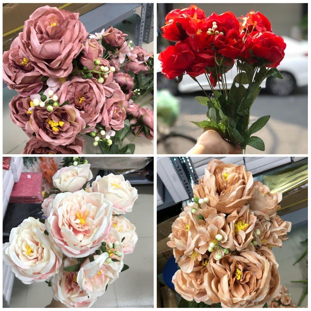 Cành hoa mẫu đơn nhiều màu