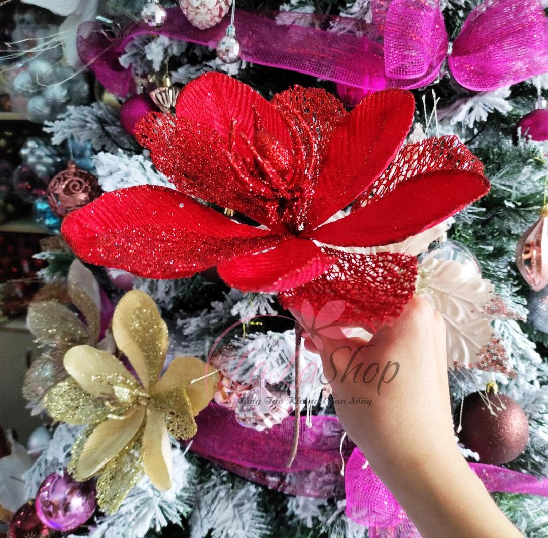 Hoa Trạng Nguyên Size Lớn Trang Trí Noel