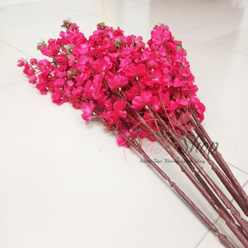 Ảnh sản phẩm