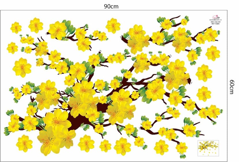 Ảnh sản phẩm